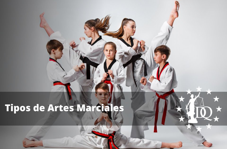 Tipos de Artes Marciales