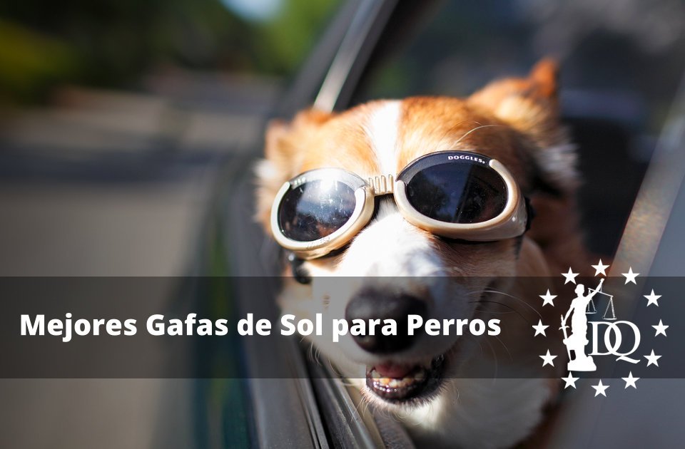 Mejores Gafas de Sol para Perros Grandes y Pequeños