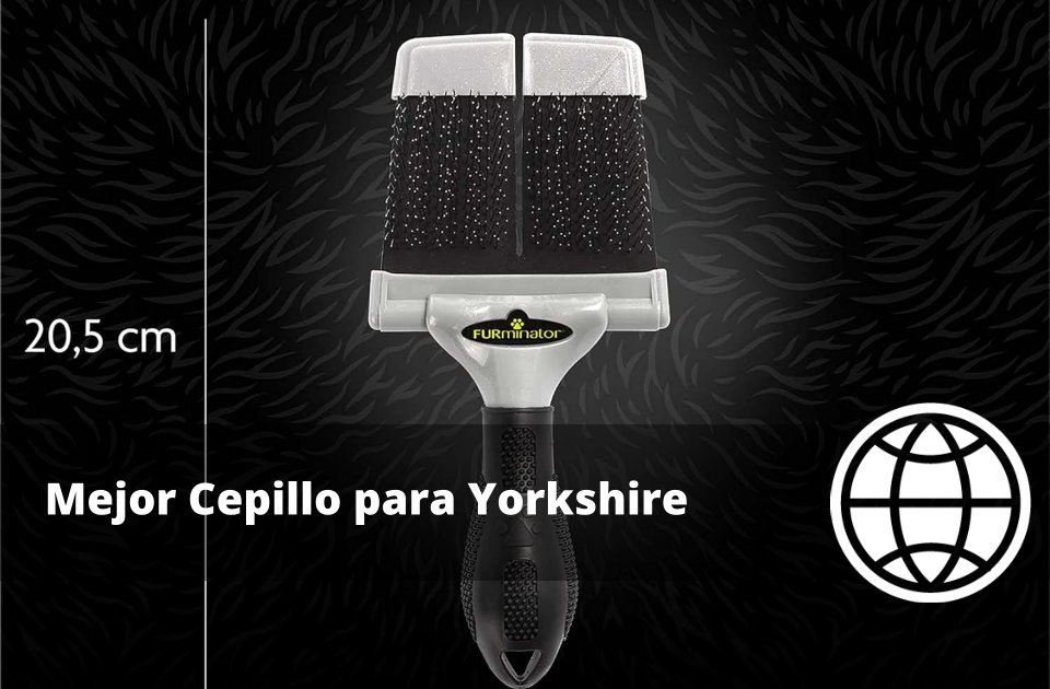 Mejor Cepillo para Yorkshire