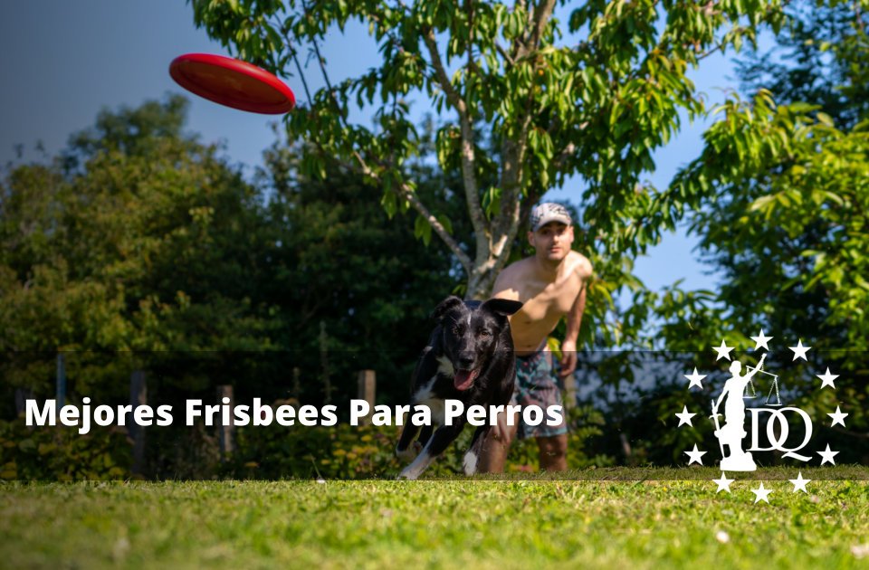 Mejores Frisbees Para Perros Pequeños y Grandes