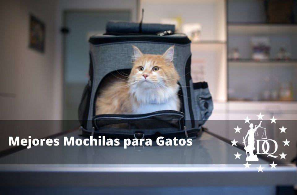 Mejores Mochilas para Gatos y Opiniones de Transporte