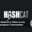 Qué es Hashcat y Cómo se usa para Recuperar Contraseñas